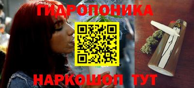 стафф Краснознаменск