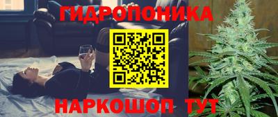 стафф Краснознаменск