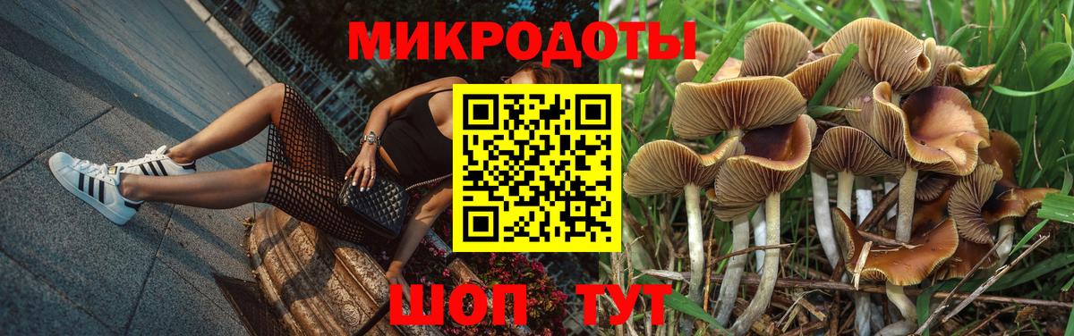 Вышний Волочёк  Галлюциногенные грибы мухоморы  Вход с VPN  Галлюциногенные грибы Psilocybe 